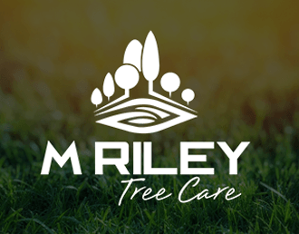 Logo Design & Branding